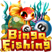 Câu Cá Bingo kl55 game